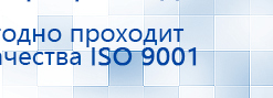 Электроды Скэнар -  двойной овал 55х90 мм купить в Кубинке, Электроды Скэнар купить в Кубинке, Дэнас официальный сайт denasdoctor.ru